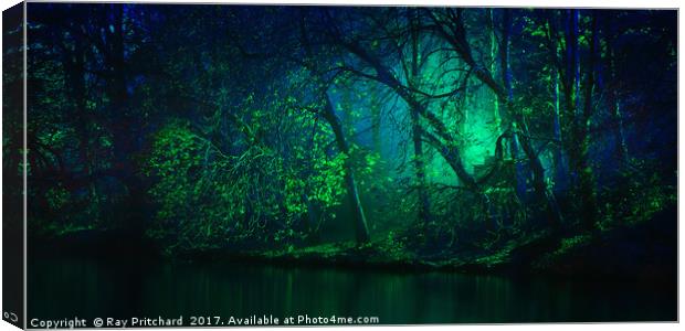 Durham Lumiere 2017 Canvas Print by Ray Pritchard