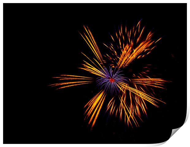 Firework at Blackheath Common Print by Dawn O'Connor