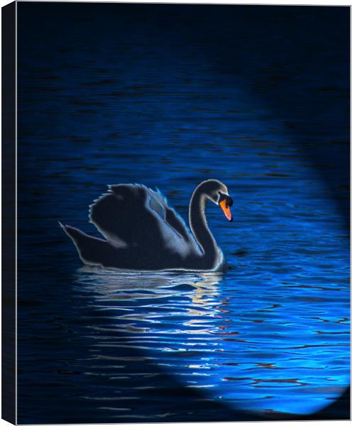 Majestic Swan in Radiant Light Canvas Print by Graham Nathan