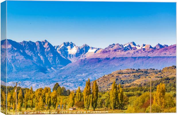 Andean Patagonia Landscape, Aysen, Chile Canvas Print by Daniel Ferreira-Leite