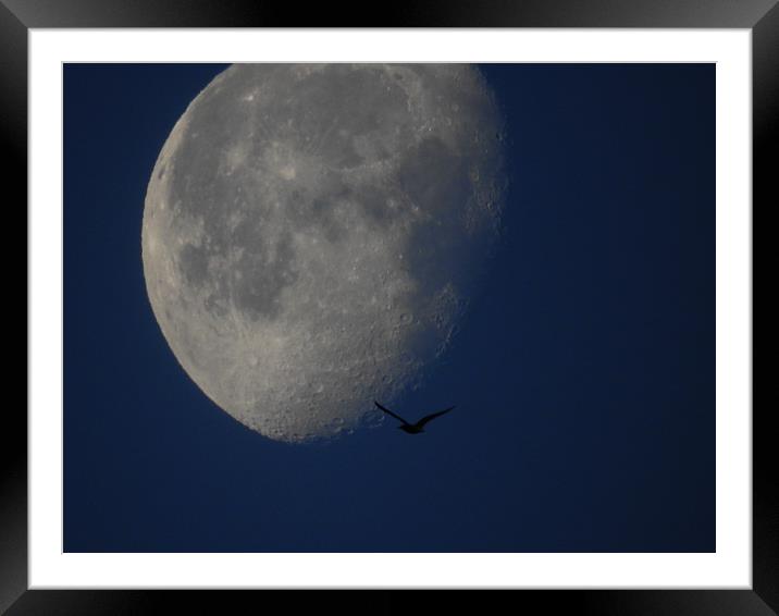 Fly Me to the Moon Framed Mounted Print by John Ellis
