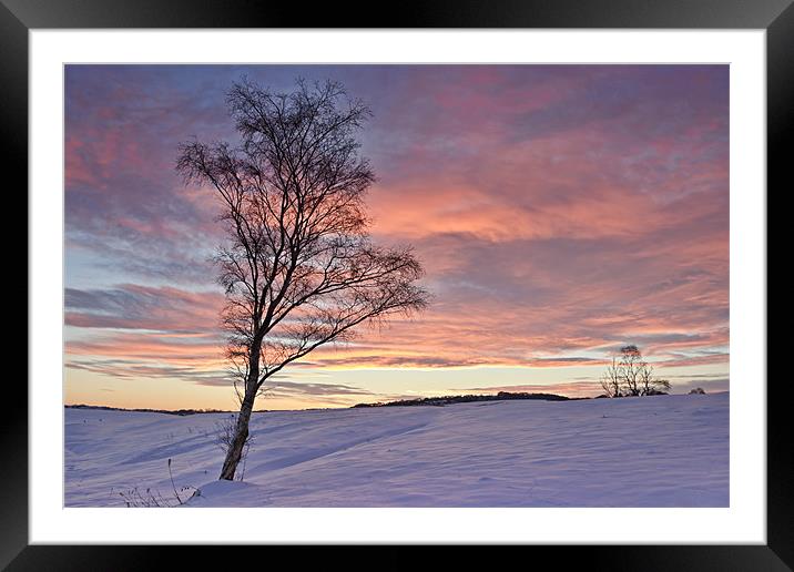 Winter Sunset - Waldridge Fell, Country Park. Framed Mounted Print by David Lewins (LRPS)