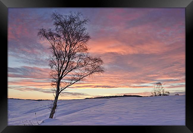 Winter Sunset - Waldridge Fell, Country Park. Framed Print by David Lewins (LRPS)