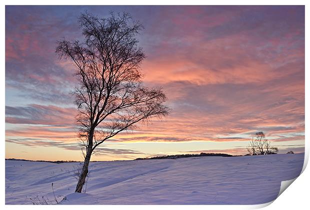 Winter Sunset - Waldridge Fell, Country Park. Print by David Lewins (LRPS)