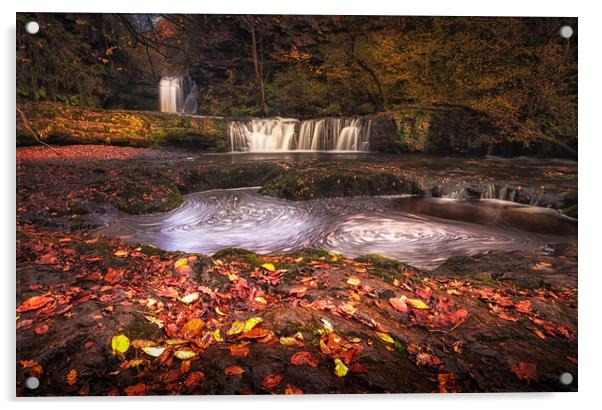 Sgwd Ddwli Isaf waterfalls South Wales Acrylic by Leighton Collins