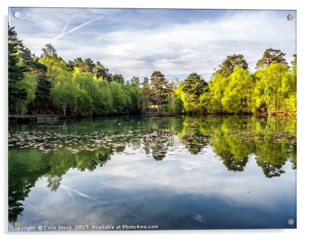 Reflections Acrylic by Colin Stock