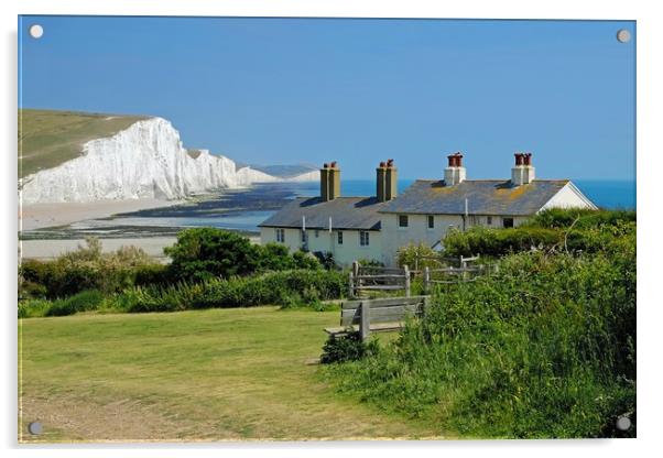 The Seven Sisters and Cuckmere Beach Acrylic by Diana Mower