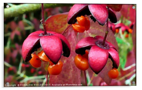 "Autumn fruitfulness" Acrylic by ROS RIDLEY