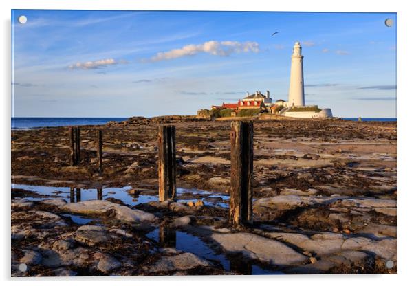 st marys lighthouse  Acrylic by chris smith