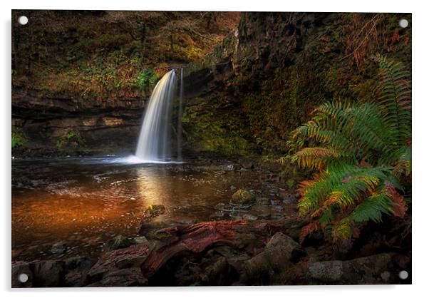 Lady Falls Sgwd Gwladus waterfall Acrylic by Leighton Collins