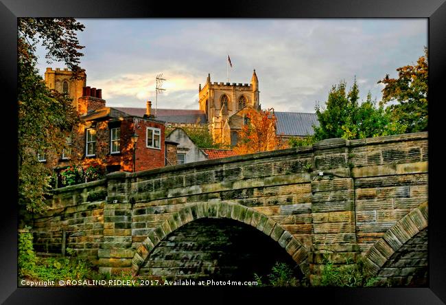 "Evening light over Ripon Cathedral" Framed Print by ROS RIDLEY