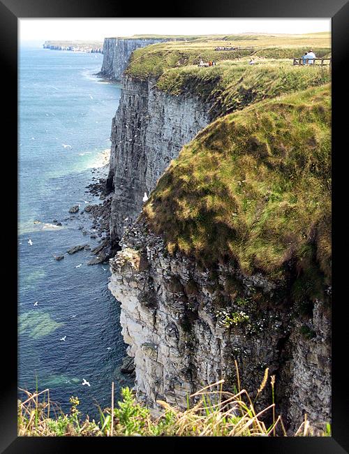 Bempton Cliffs Framed Print by JEAN FITZHUGH