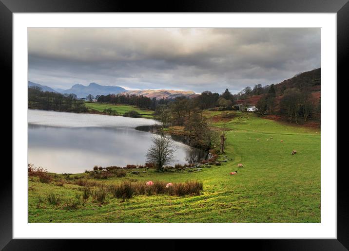 loughrigg tarn  Framed Mounted Print by chris smith