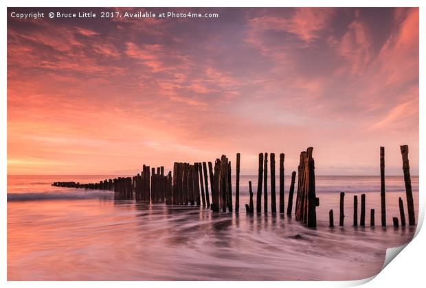 Old Groyne at Dawlish Warren Print by Bruce Little