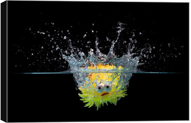 Toy fish splash Canvas Print by Simon Bratt LRPS