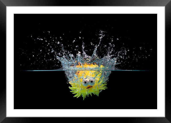 Toy fish splash Framed Mounted Print by Simon Bratt LRPS