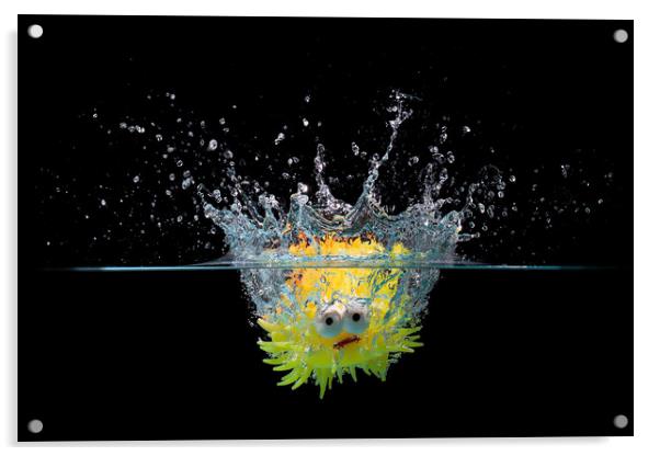 Toy fish splash Acrylic by Simon Bratt LRPS
