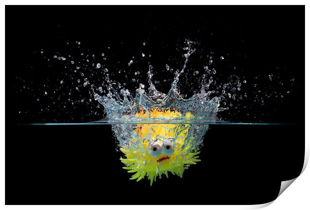 Toy fish splash Print by Simon Bratt LRPS