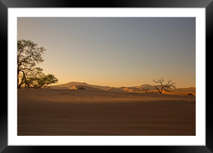Sunrise at Sossusvlei, Namibia Framed Mounted Print by Hazel Wright