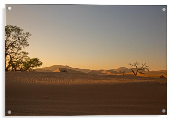 Sunrise at Sossusvlei, Namibia Acrylic by Hazel Wright