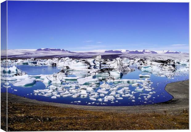 Jökulsárlón glacial lagoon Iceland Canvas Print by Tony Bates