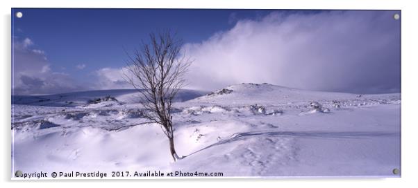 Dartmoor panorama Snow  Scene Acrylic by Paul F Prestidge