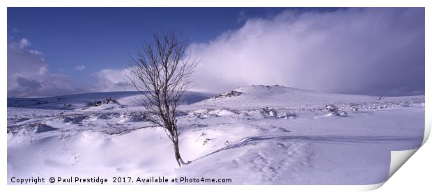 Dartmoor panorama Snow  Scene Print by Paul F Prestidge