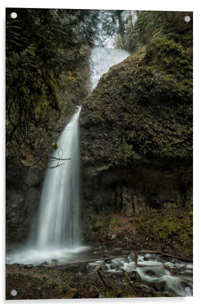Upper Latourell Falls, No. 1 Acrylic by Belinda Greb