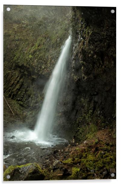 Upper Latourell Falls, No. 2 Acrylic by Belinda Greb