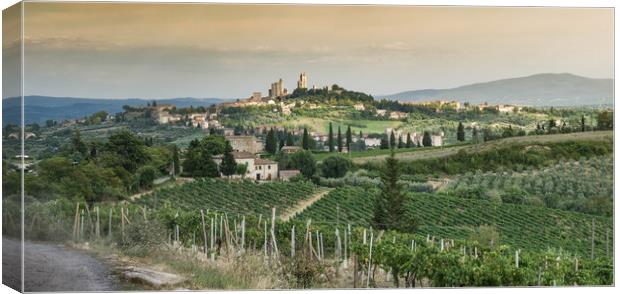 Towers of San Gimignano Canvas Print by Neal P