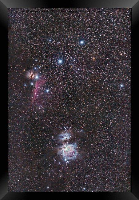 Orion Nebula. Framed Print by Angela Aird