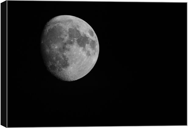 Moon  Canvas Print by Mike Rockey