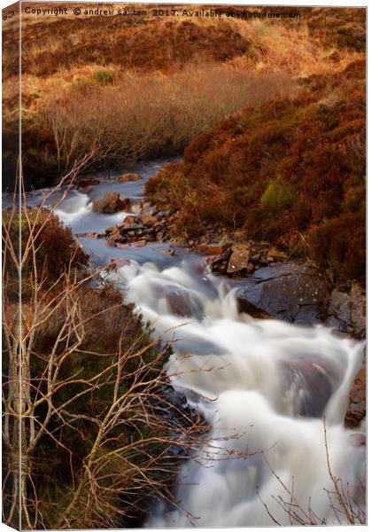 BRAMBLE WATERFALL Canvas Print by andrew saxton