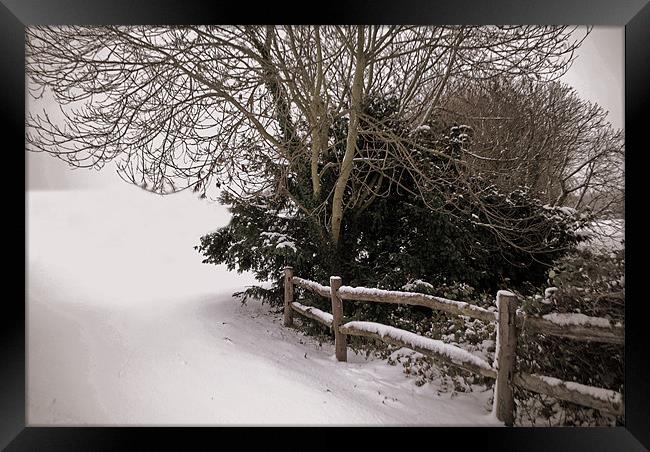 Snow Fence Framed Print by Karen Martin
