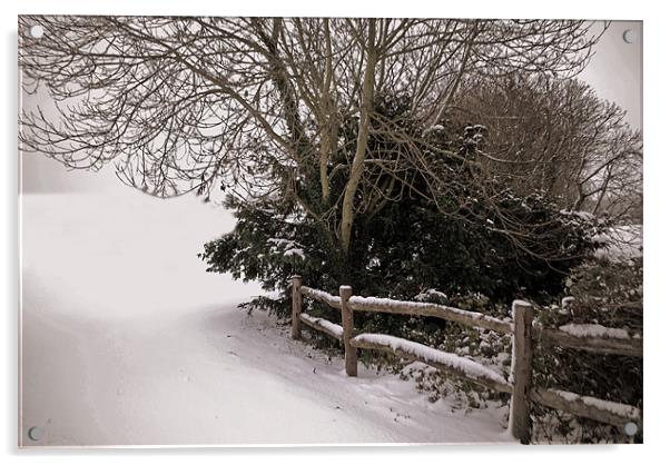 Snow Fence Acrylic by Karen Martin