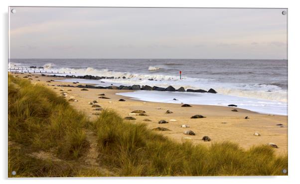 Seals with Pups on Winterton Beach Acrylic by Darren Burroughs