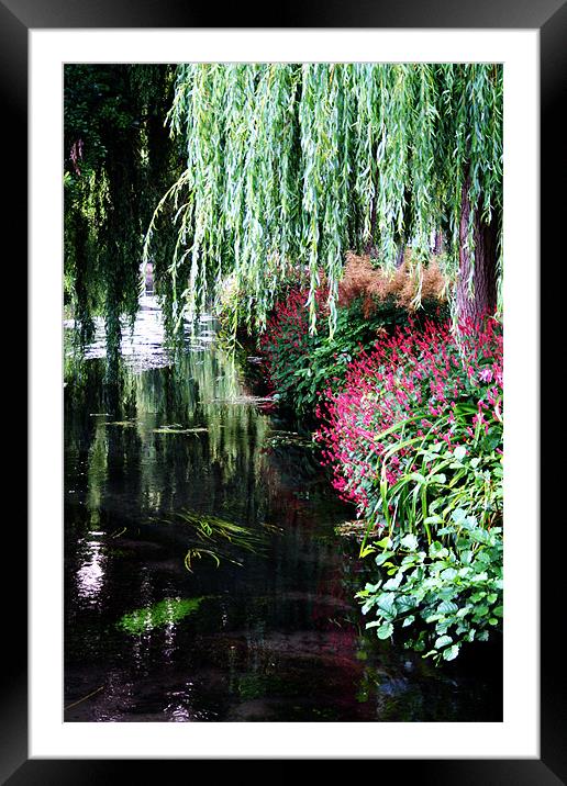 River itchen winchester Framed Mounted Print by Doug McRae