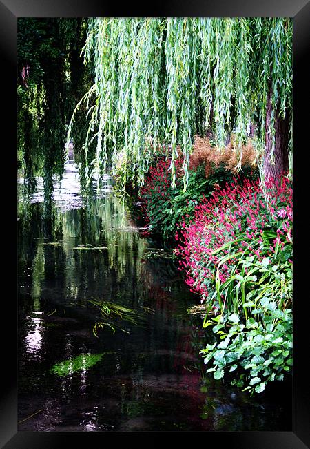 River itchen winchester Framed Print by Doug McRae