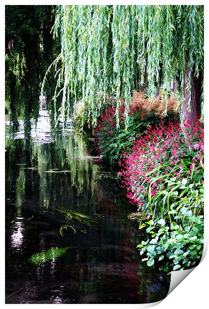 River itchen winchester Print by Doug McRae