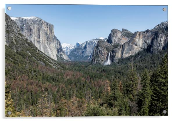 Tunnel View of Yosemite During Spring Acrylic by Belinda Greb