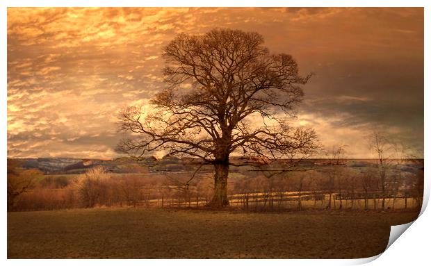 The Lone Tree Print by Irene Burdell