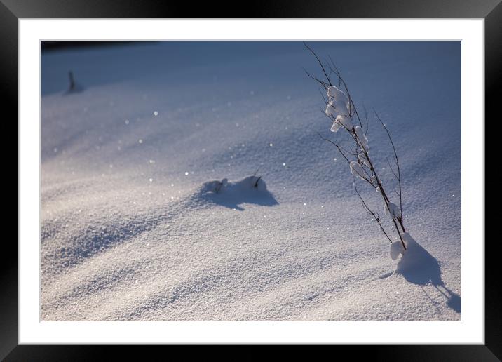 Snow forms Framed Mounted Print by Thomas Schaeffer