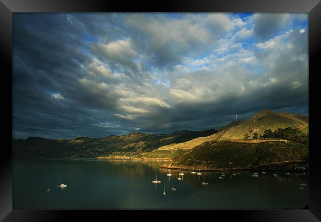 Evening Light Framed Print by Neil Gavin