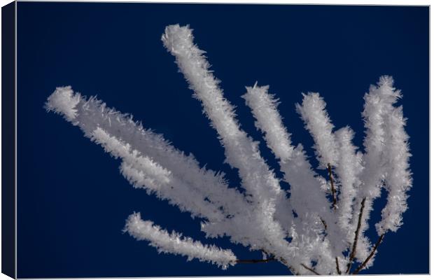 Ice formation Canvas Print by Thomas Schaeffer