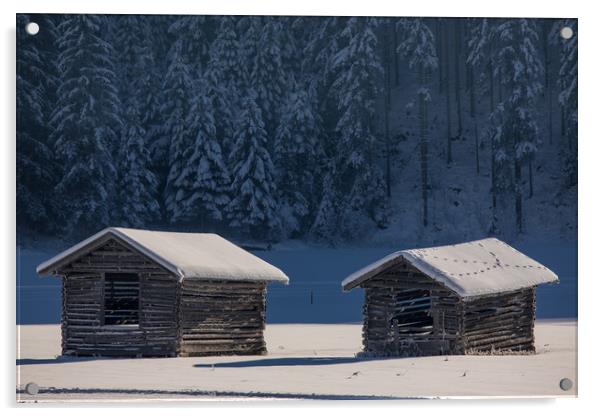 Winter morning Acrylic by Thomas Schaeffer