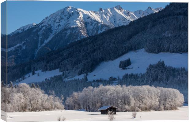 Winter morning Canvas Print by Thomas Schaeffer