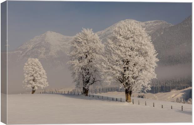 Lofer mountains in winter Canvas Print by Thomas Schaeffer