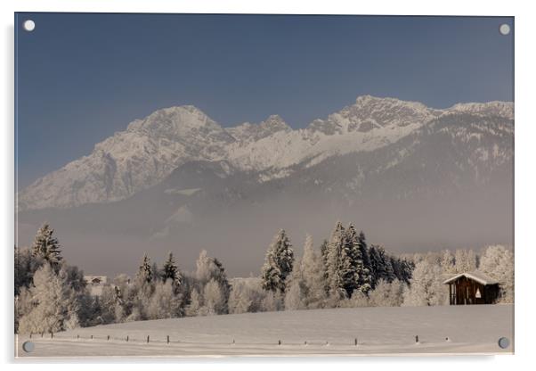 Winter morning Acrylic by Thomas Schaeffer