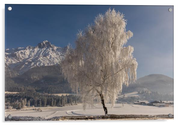 Winter morning Acrylic by Thomas Schaeffer