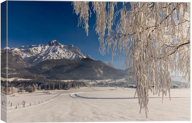 Winter morning Canvas Print by Thomas Schaeffer